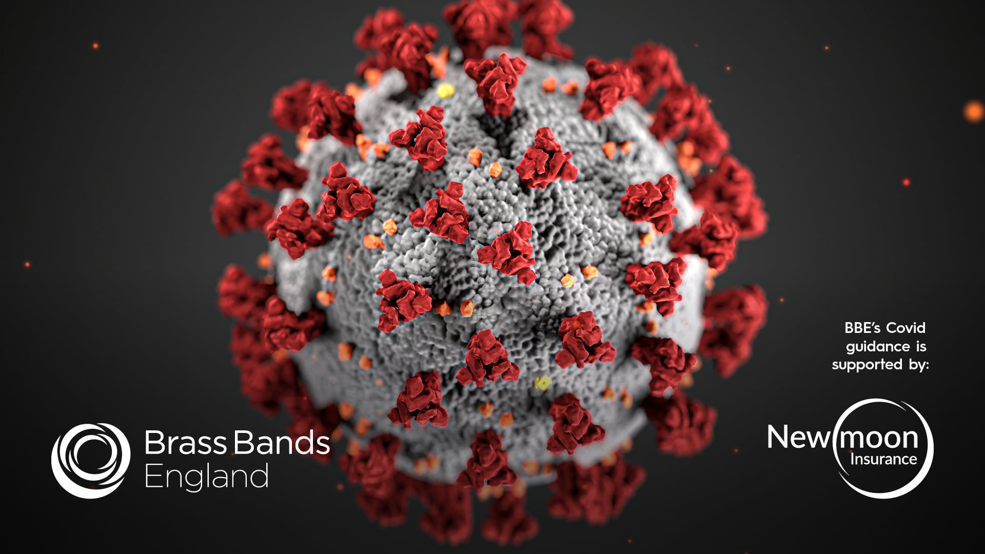 Large red Covid-19 molecule with text "BBE Covid guidance is supported by New Moon Insurance"