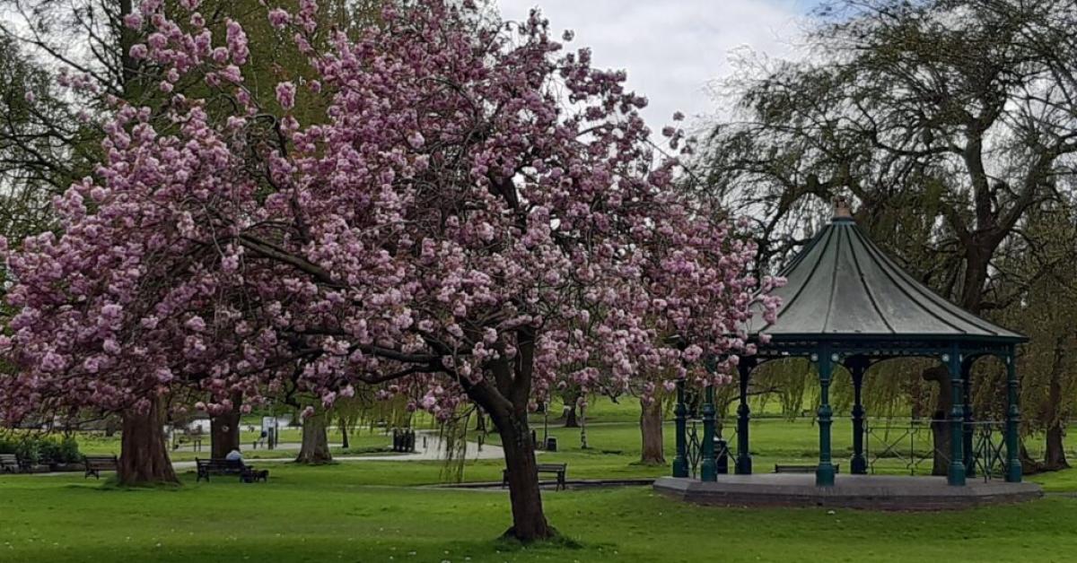 SandersPark