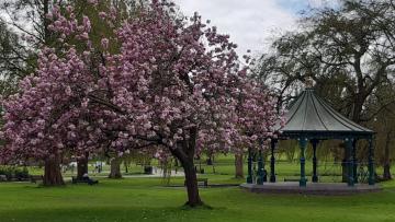 SandersPark