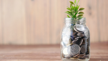 A jar filled with coins with greenery growing out of the top 