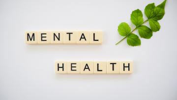 The words mental heath are spelt out using Scrabble pieces and are arranged next to a sprig of green leaves